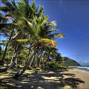 Anse
