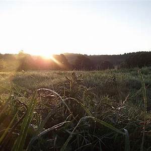 Bourgneuf