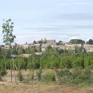 Gallargues-le-Montueux