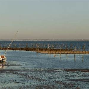 LEGE-CAP-FERRET