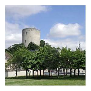 La Tour-Blanche-Cercles