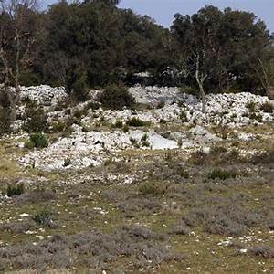 Lagarrigue