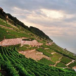 Lavaur