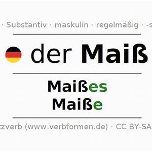 Maisse