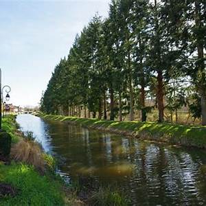 Mareuil-sur-Lay-Dissais