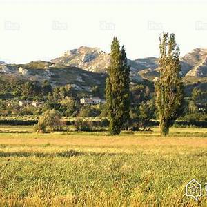 Maussane-les-Alpilles