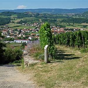 Saint-Romain-le-Puy