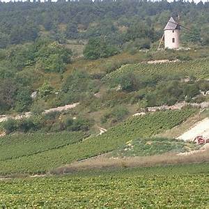 Santenay