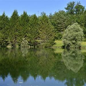 Serre-les-Sapins