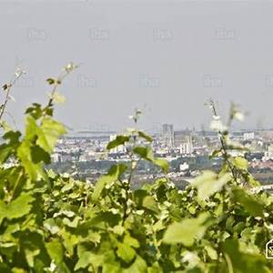 Villers-Allerand