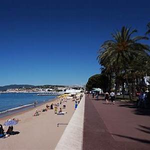 le cannet