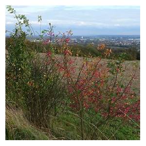 montereau-fault-yonne
